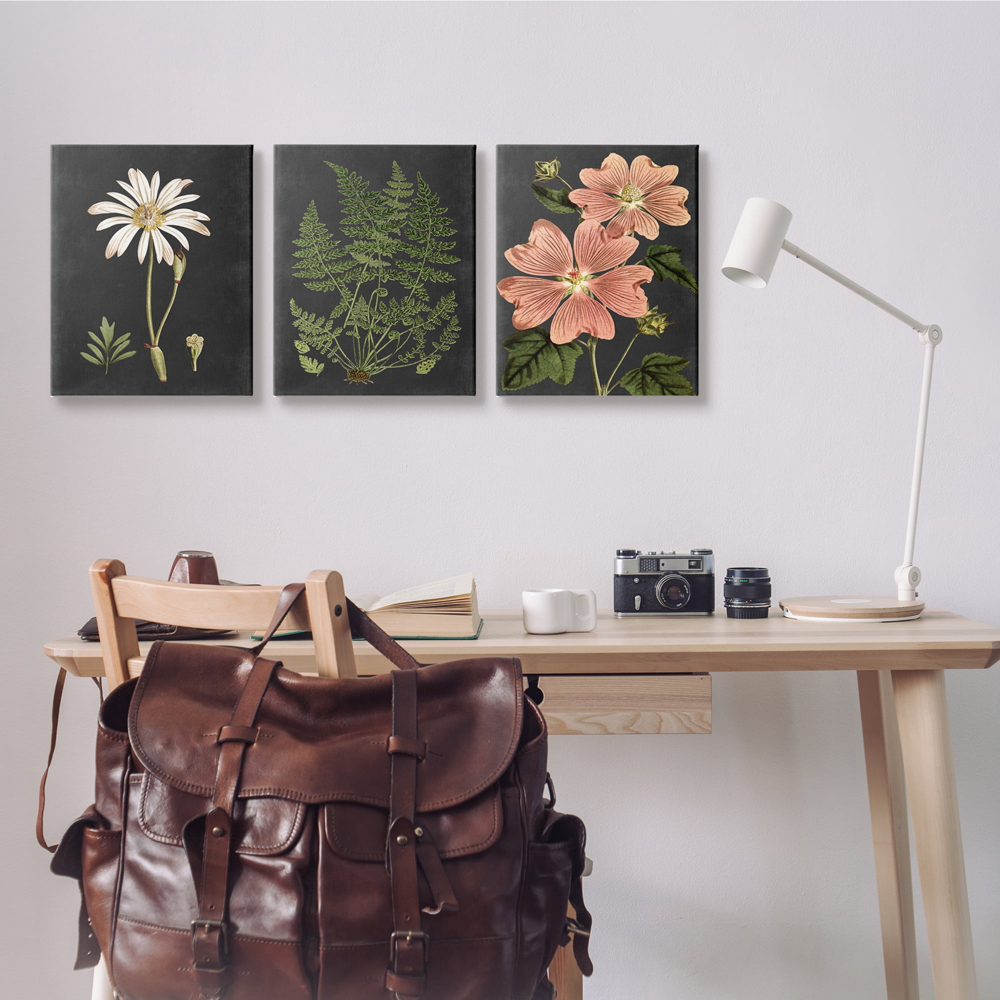 Stupell Industries Botanical Flowers Chalkboard Illustrations Canvas Wall Art by Lettered and Lined