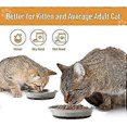 thumbnail image 5 of 2025 Wellbro Pet Bowl , 2 Pcs Stainless Steel Cat Bowls for Food and Water, 5 of 5