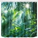 thumbnail image 2 of Bosque de la selva con ganchos Cortina de ducha 180x180cm Plantas tropicales Cortinas de baño Hoja de plátano Cortinas de tela de poliéster lavables al agua resistentes al agua y al moho, 2 of 5