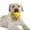 A, variant on SIfdSeng Pet Toy Etpu Dog Pet High Elasticity Tear Teeth the Puppy Teething Toys Interactive Dog Toys for Large Dogs Large Dog Toy