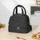 thumbnail image 3 of Bolsa de almuerzo aislante de doble capa de gran capacidad | Contenedor Bento Impermeable | Refrigerador portátil impermeable para picnic | Organizador térmico para almacenamiento de alimentos, 3 of 6