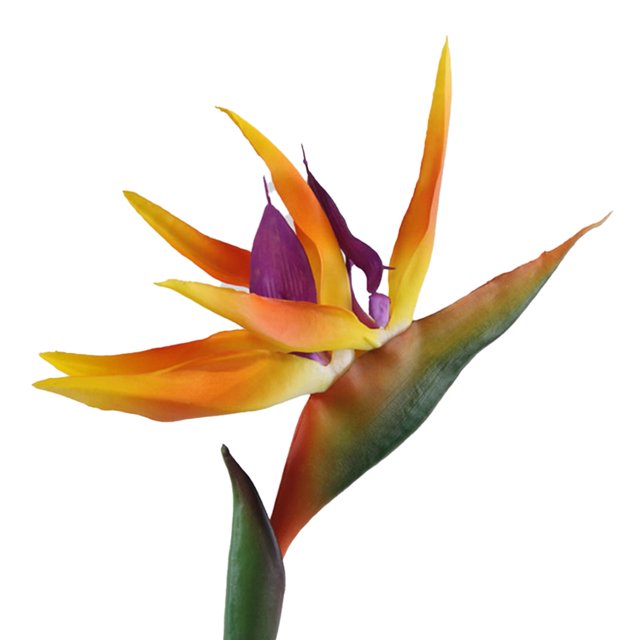 Flor artificial genial Ave del paraíso Planta falsa Seda Strelitzia Reginae Decoración del hogar