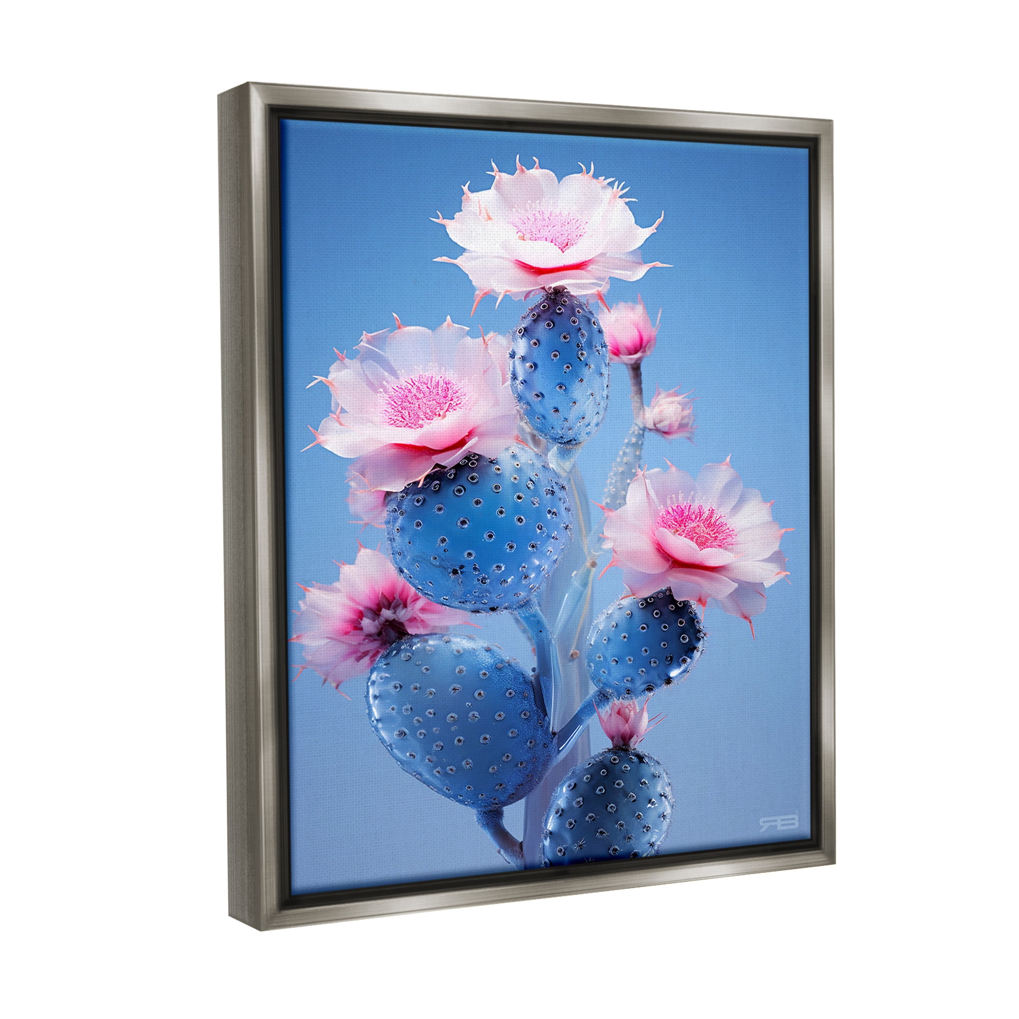Stupell Industries Prickly Cactus Flowers Botanical & Floral Painting Gray Floater Framed Canvas Art Print Wall Art, 17 x 21
