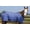 Royal Blue, variant on Weaver 1200D Stable Blanket