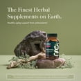 thumbnail image 3 of Gaia Herbs Resveratrol - Beauty & Radiance Antioxidant Support Supplement* - Made with Japanese Knotweed - Contains 150 mg Trans-Resveratrol per Serving - 50 Liquid Phyto-Capsules (25 Servings), 3 of 9