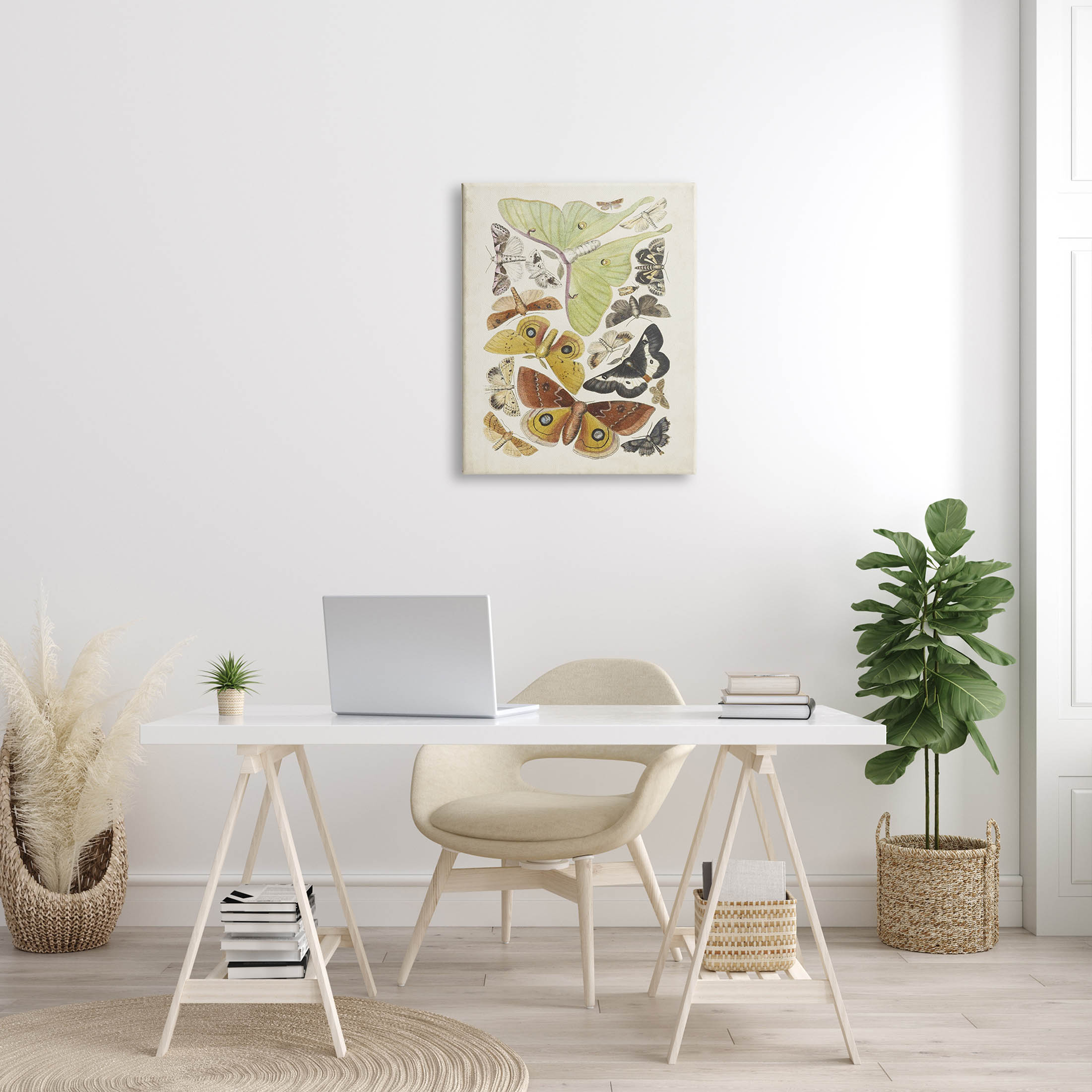 Stupell Industries Various Moth Species Insect Patterns Graphic Art Gallery Wrapped Canvas Print Wall Art, Design by World Art Group