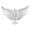 White, variant on Peace Dove Foil Balloon 40 Inch Memorial Release for Ceremonies,1PC,White