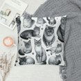 thumbnail image 2 of JEUXUS Cat for Cat Lovers - Girls Women Cute Animals Pet Sherpa Pillowcase for Home Decor White, 2 of 5