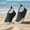 Black, variant on Zecgelong Girls Water Shoes For Beach Pool Outdoor Lightweight Non Slip Comfortable Sandals For Toddler Kids 2 10 Years