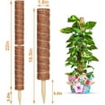 thumbnail image 2 of 31.4 Inch Moss Pole Monstera - 2 Totem Moss Poles for Climbing Plants - Coir Moss Totem Poles Plant Stakes and Sticks - Support Indoor Plants to Grow Upwards, 15.7 Inch Individual, 2 of 9