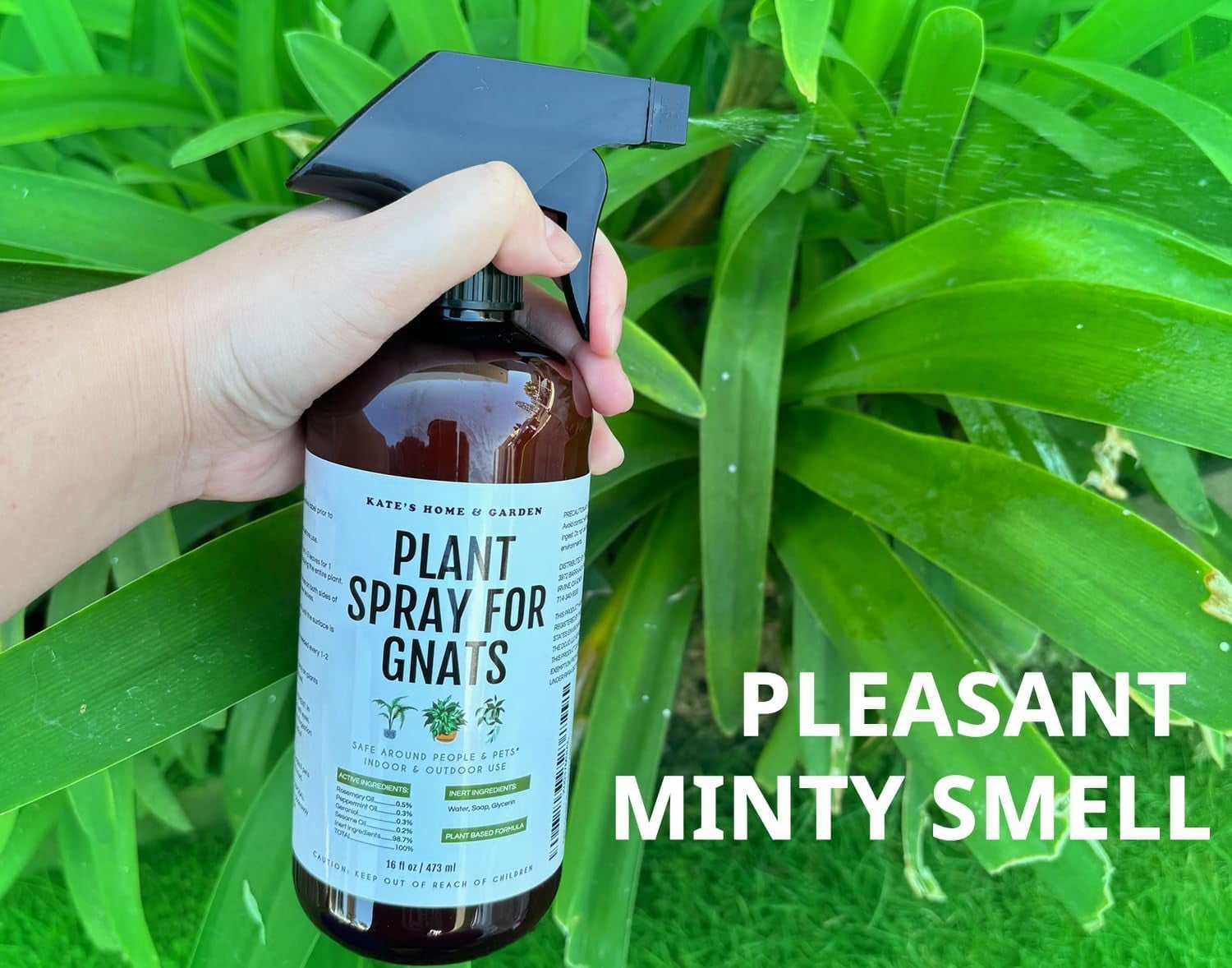Plant Spray for Insects & Getting Rid of Gnats. Fungus Gnat Killer & Bug Spray for Indoor Plants (16oz, Pet Safe, Non Toxic)