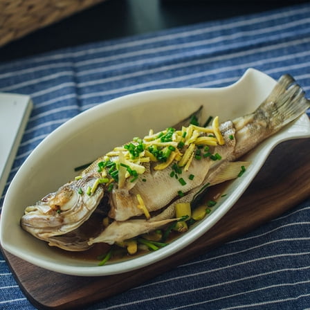 MLINS  2 Pcs Dinner Plates Ceramic Serving Fish Dinnerware Food White