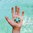 thumbnail image 4 of Dyed Finger Decor Garden Beach Critter Life Finger for Arts & Crafts Projects Decorations Invitations, 4 of 8