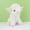 white, variant on Highland Cow Plush Toy, Soft Fluffy Scottish Cow Stuffed Animal, Realistic Sitting Highland Bull Cuddle Buddy for Kids Toddlers Farm Lovers, Perfect Birthday Home Decor Gift