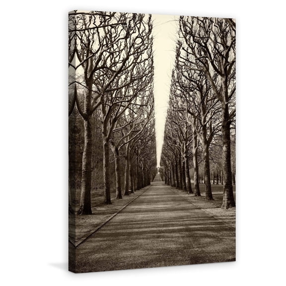 "Tree Alley" Painting Print on Wrapped Canvas