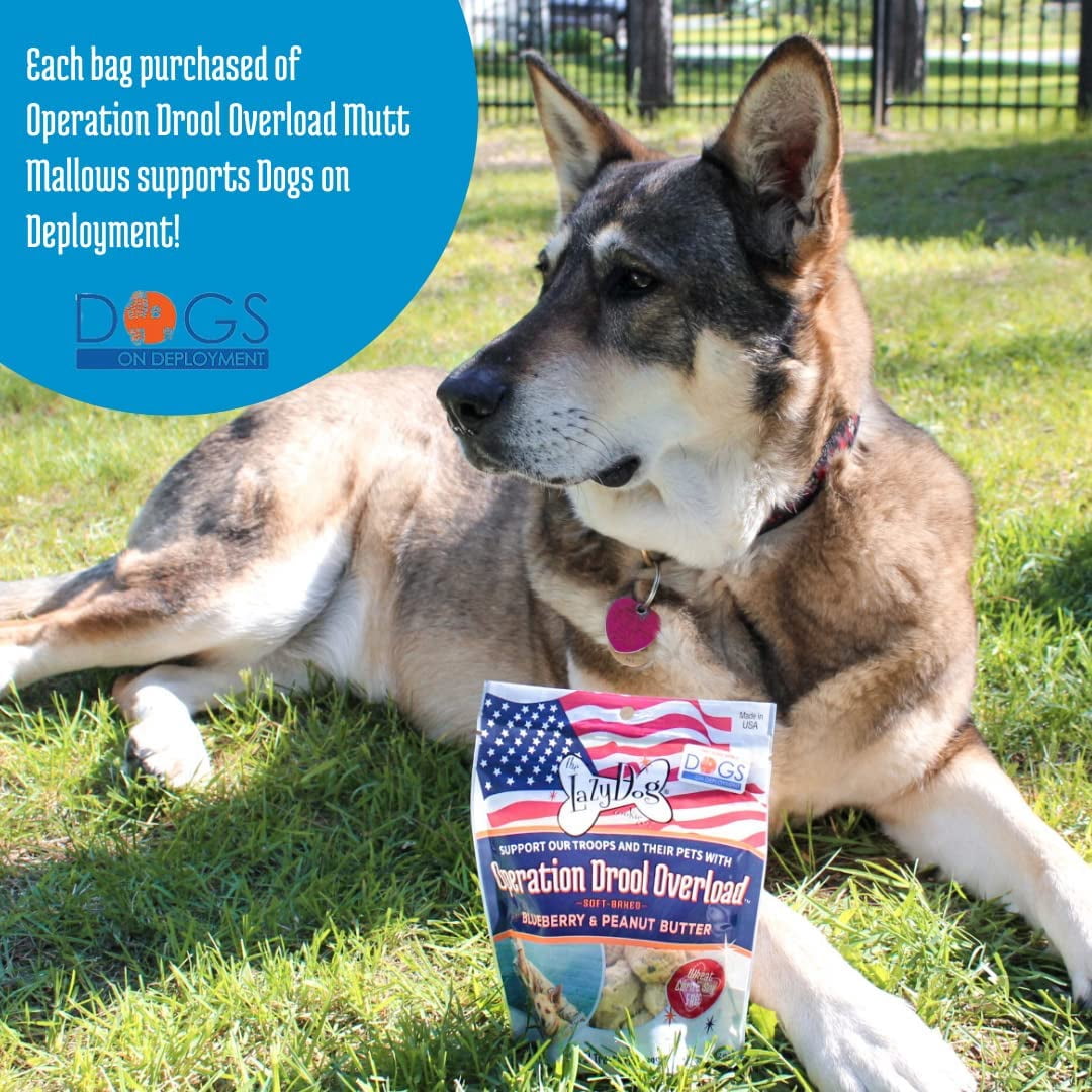 Lazy Dog Cookie 142009 5 oz Operation Drool Overload Soft Baked Blueberry & Peanut Butter Dog Treat
