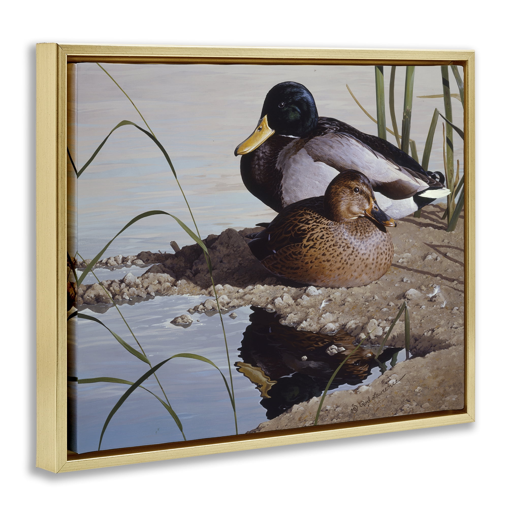 Stupell Industries Two Ducks Water's Edge Animals Painting Gold Floater Framed Canvas Art Print Wall Art, 31 x 25
