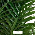 thumbnail image 5 of JAUZ IMPROVEMENT Set 4pz Planta Artificial De Plastico Tipo Bamboo 180cm Hogar Sala Interior/Exterior (Mod. 0258) JAUZ IMPROVEMENT JOSI0254, 5 of 5