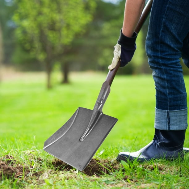 Flower shovel cheap
