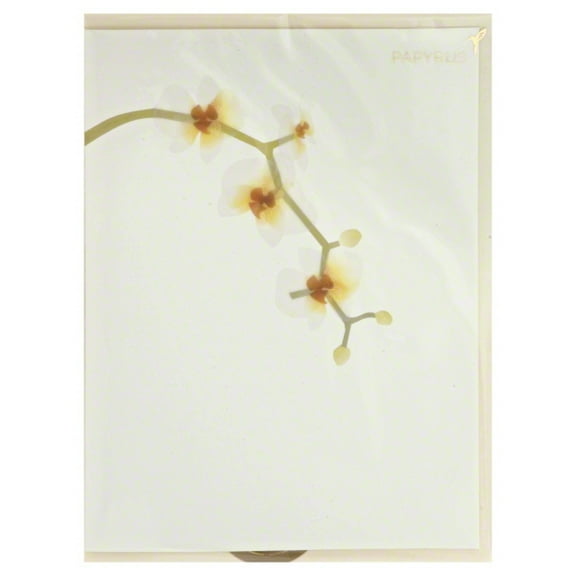 Papyrus Card – Blank Inside – Good For All Occasions