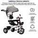 thumbnail image 2 of Triciclo para Bebe Triciclo Montable De 4 A 10 Años Carriola Montable con Sombrilla para Sol Silla Ajustable Carrito de Paseo Transformable Plegable Triciclo Infantil, 2 of 8