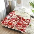 thumbnail image 6 of Sherpa Fleece Throw Blanket Cozy Soft Warm Bed Blankets,Valentine''s Day Love Dark Red Pink Heart Fuzzy Plush Microfiber Lightweight Blankets All Season for Couch Sofa 40x50IN, 6 of 6