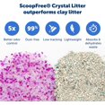 thumbnail image 4 of SHILIU-PetSafe ScoopFree Crystal Litter Tray Refills Lavender Crystals, 3-Pack Disposable Tray Includes Leak Protection & Low Tracking Litter Absorbs Odors on Contact,(PAC00-16689), 4 of 4
