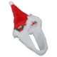 thumbnail image 3 of Gorro De Papá Noel Para Perros, Encantador Y Cómodo Gorro De Papá Noel Para Mascotas Adorable Para Mascotas Perros Para Regalos De Navidad ANGGREK Otros, 3 of 8