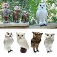 thumbnail image 2 of GROWTH TANK 2pcs/set Artificial Owl Bird Feather Realistic Taxidermy Home Garden Decor, 2 of 8