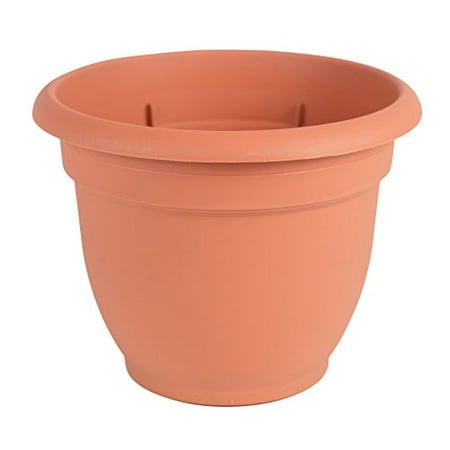 UPC 087404561061 product image for Bloem Ariana Self Watering Planter 6.5 x 5.25 Plastic Round Terracotta | upcitemdb.com