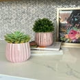 thumbnail image 2 of Admired By Nature 4" Ceramic Flower Planter, Ceramic Pot Planter, Indoor Ceramic Bowl, For Indoor Plant Succulent Plant Home Décor, Light Pink, 2 of 4
