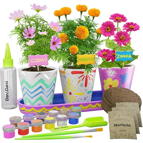 Dan&Darci Paint & Plant Cosmos Zinnia Flower Growing Kit
