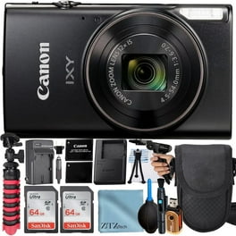 Canon PowerShot SX740 HS Digital Camera (Silver) 2956C001