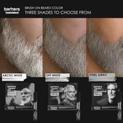 Godefroy Silver Fox Brush on Beard Color - Arctic White