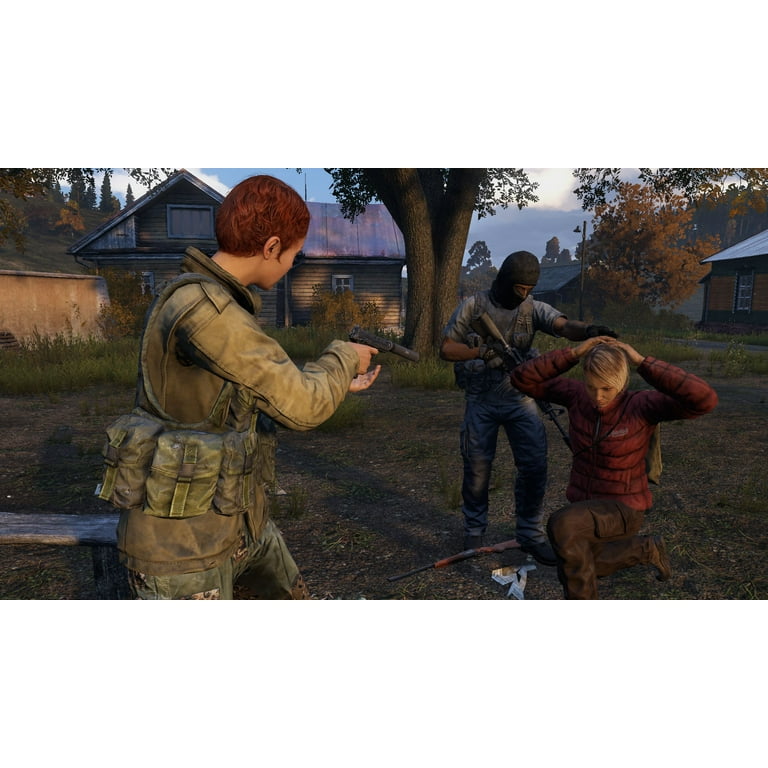 Dayz PlayStation 4 Walmart