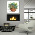 thumbnail image 6 of Epic Art 'Terracotta Succulents I' by Cindy Jacobs, Acrylic Glass Wall Art, 36"x36", 6 of 10