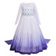 thumbnail image 2 of New Summer Princess Elsa Costume Girls Fancy Tulle Girl Costumes Full Sleeve Holiday Children Clothing Party Cosplay Dress Up yaoshenbao LED, 2 of 2