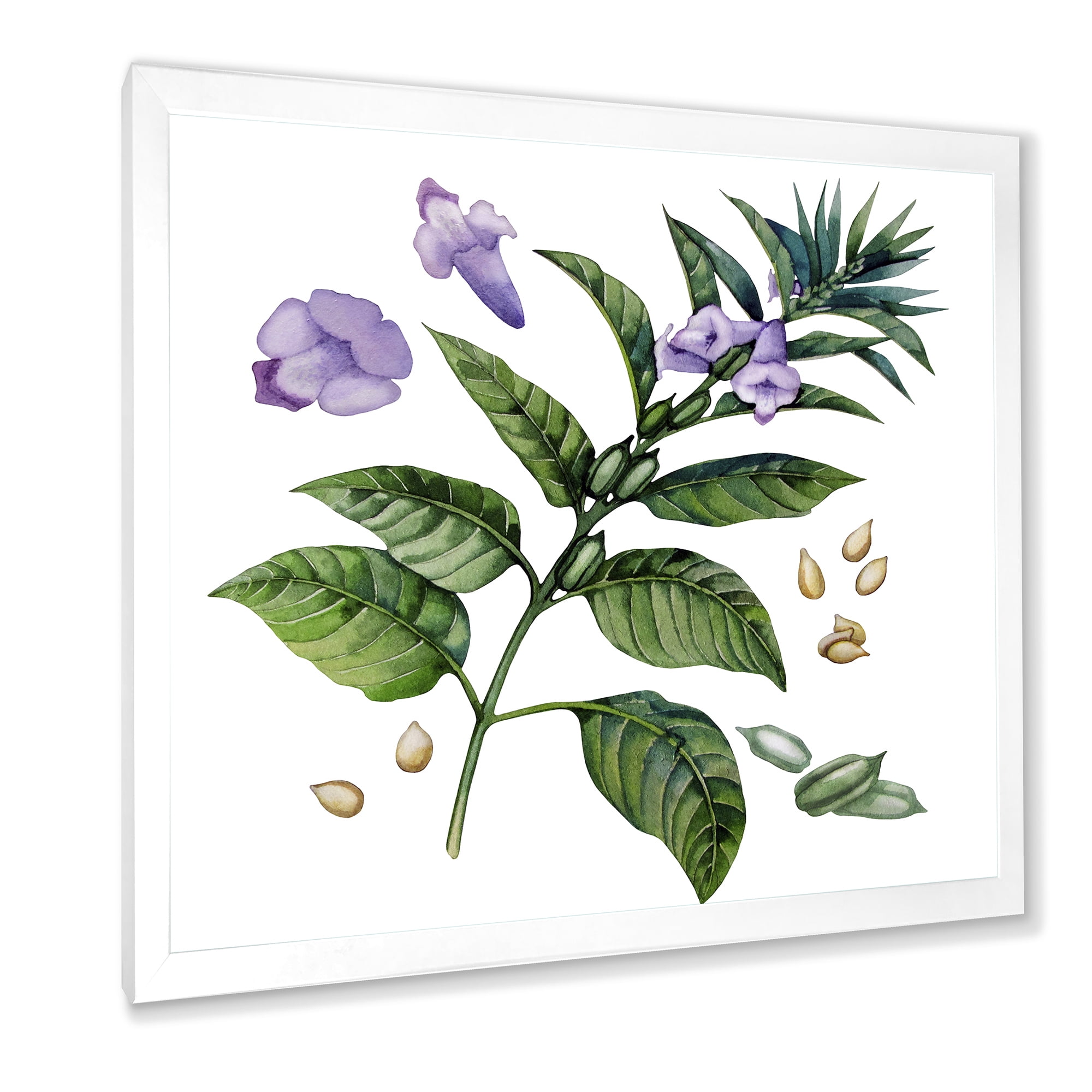Designart 'Purple Sesame Flowers WIth Green Leaves On White' Traditional Framed Art Print