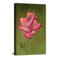 thumbnail image 1 of Aleksei Antonov Painting Wall Art Rose Rosa Framed Canvas Art, 1 of 7