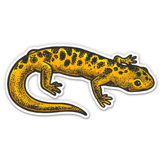 Newt Cute Aquatic - 3" Vinyl Sticker - For Car Laptop Water Bottle Phone - Waterproof Decal