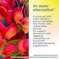 thumbnail image 4 of MegaFood Berberine Phytosome 550 mg - For Metabolism & Cholesterol - Vegan - 30-Day Supply, 4 of 9