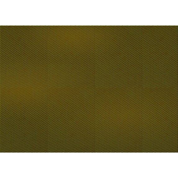 Ahgly Company Indoor Rectangle Patterned Olive Green Area Rugs, 2' x 4'