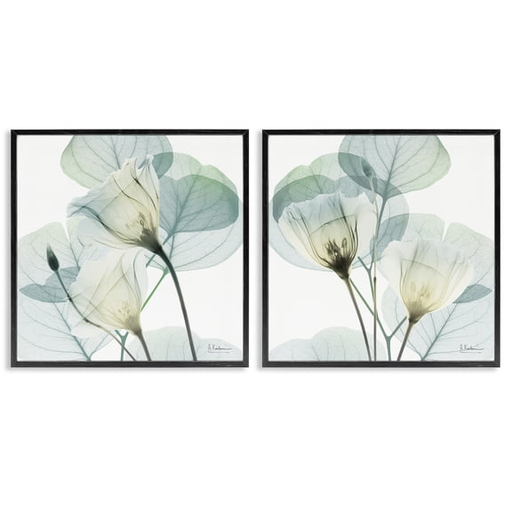Stupell Industries Divine Fate Flowers 2 Piece Black Framed Giclee Art Set, design by Albert Koetsier