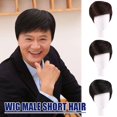 thumbnail image 3 of Wartleves Hombres Cabello Corto Cabeza Para Cabello Pc Peluca Masculina Pc Pelucas Para Hombres ть γγ, 3 of 6