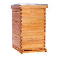 thumbnail image 1 of Kit de colmena BEEKNOWS Langstroth de 10 cuadros con recubrimiento de cera, 1 of 6