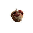 thumbnail image 1 of Carrete portamangueras de jardín resistente con organizador | Guarda y protege la manguera | Para uso en exteriores | Compatible con mangueras de varios tamaños y accesorios, 1 of 1