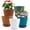 Multicolor, variant on FOUKUS 6 inch Plastic Plant Pots: 5 Pack Indoor Planters with Drainage and Tray Outdoor Flower Pots, Multicolor