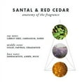 thumbnail image 2 of ScentAir Auto & Room Fragrance Puck with 30 Day Lasting Scent, Santal & Red Cedar, 3 Count, 2 of 8