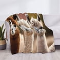 thumbnail image 3 of Fotbe Cute Alpaca in Daze Manta de Franela con Estampado, Manta Ultrasuave para Cama, Sofá, Auto, Hipoalergénica y Antibolitas-80"x60", 3 of 6