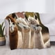 thumbnail image 3 of Fotbe Cute Alpaca in Daze Manta de Franela con Estampado, Manta Ultrasuave para Cama, Sofá, Auto, Hipoalergénica y Antibolitas-60"x50", 3 of 6